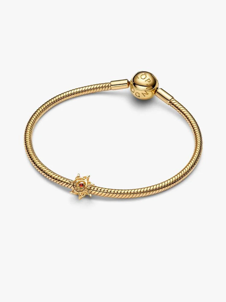 Pandora Charm Sole